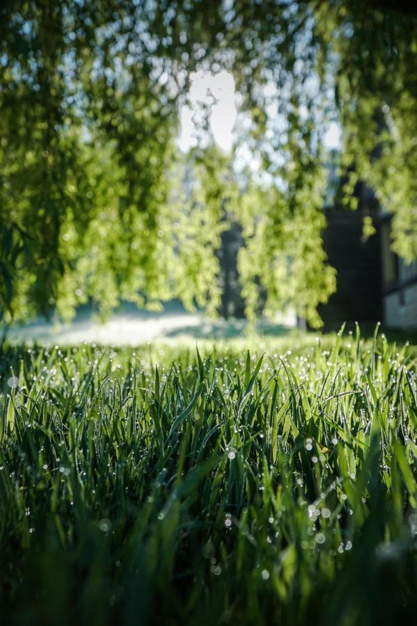 L'Herbe Haute องเฟลอร์ ภายนอก รูปภาพ